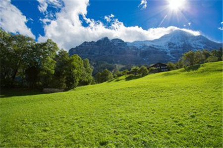 深圳自考的五讀復習法是什么?