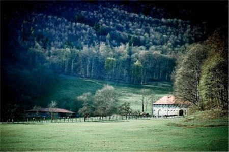 深圳自考沖刺怎么復習？